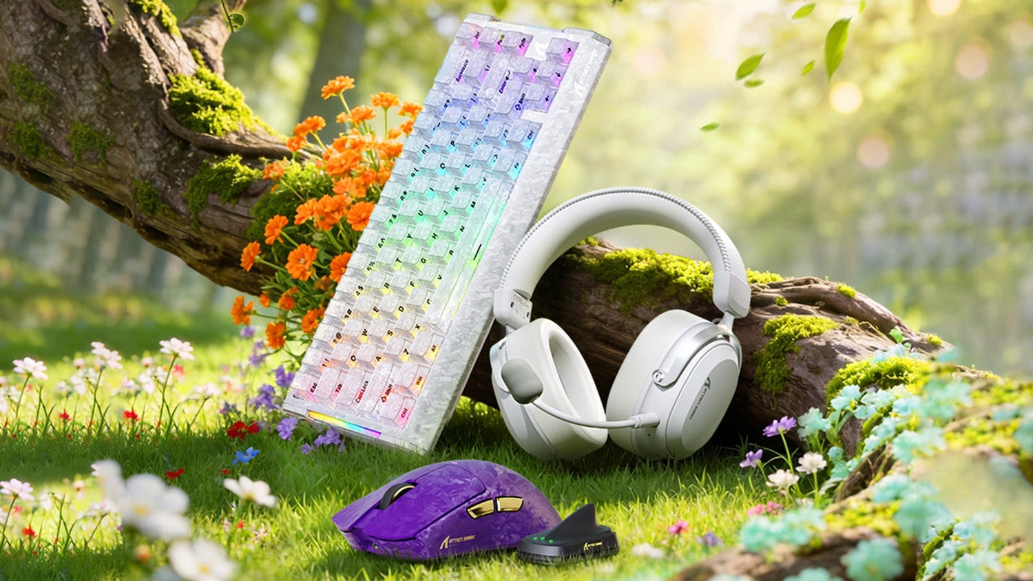 Budget vs. High-End: Where Should You Actually Spend Your Gaming Money?